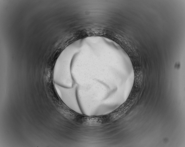 X0000099540709200806061454