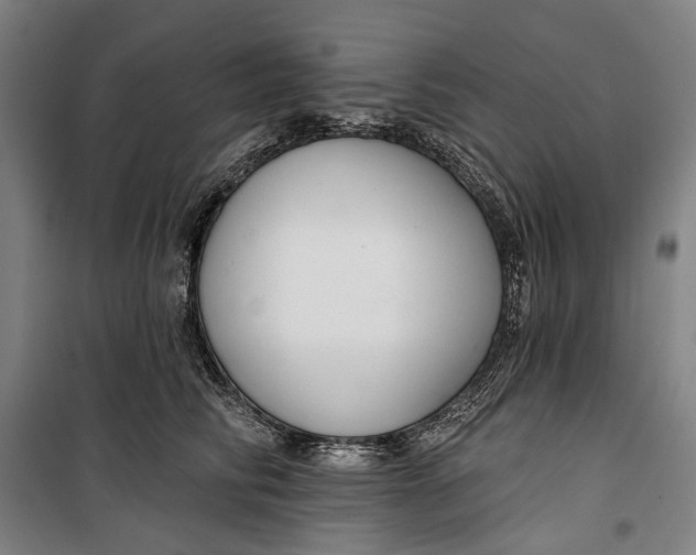 X0000099540710200806061454