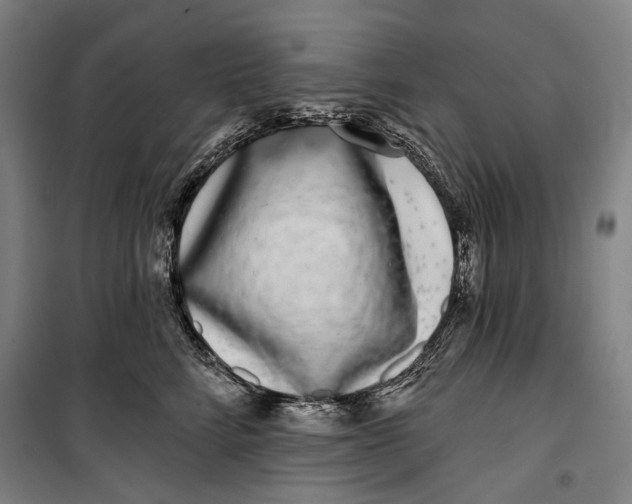 X0000099540712200806061454