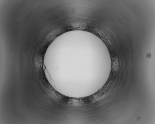 X0000099540713200806061454