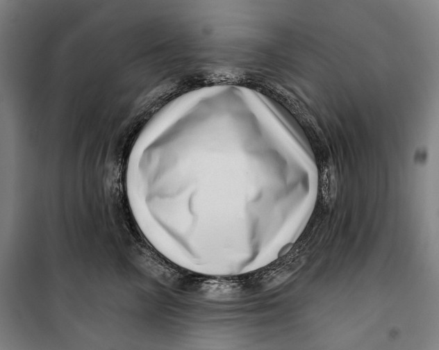 X0000099540714200806061454