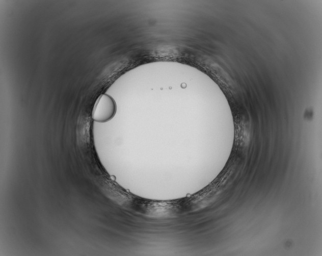 X0000099540717200806061454