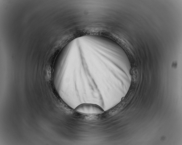 X0000099540718200806061454