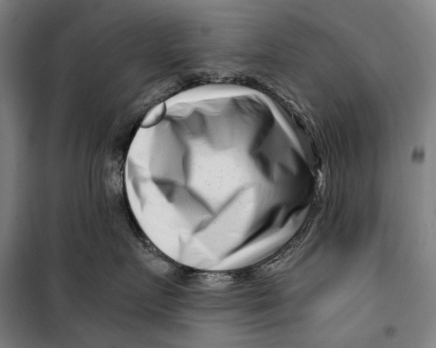 X0000099540719200806061454