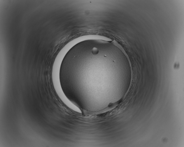 X0000099540720200806061454