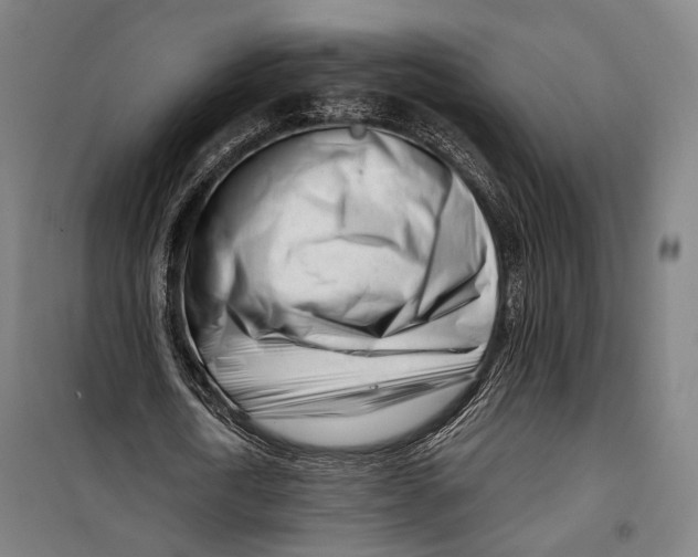 X0000099540722200806061454