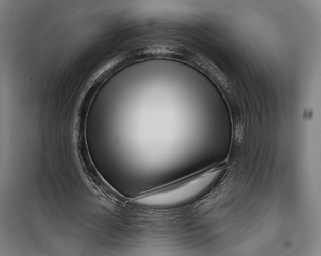 X0000099540724200806061454