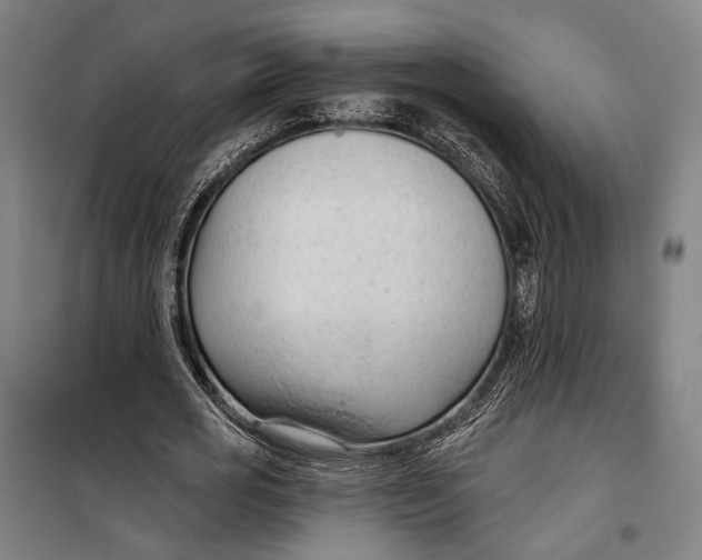 X0000099540725200806061454