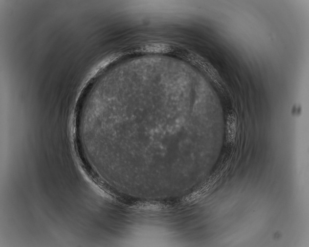 X0000099540726200806061454