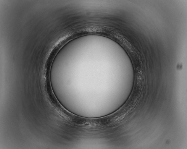 X0000099540727200806061454