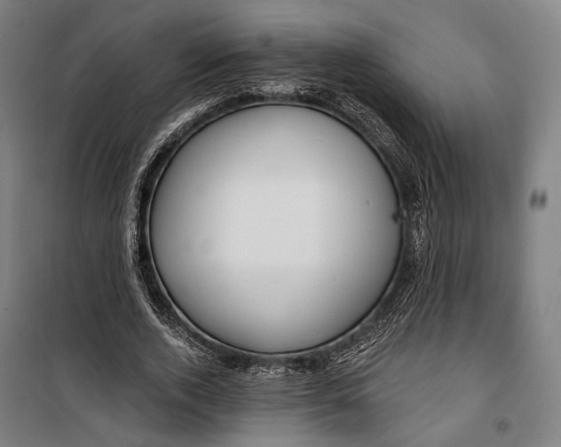 X0000099540728200806061454