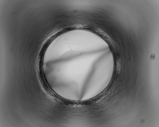 X0000099540730200806061454