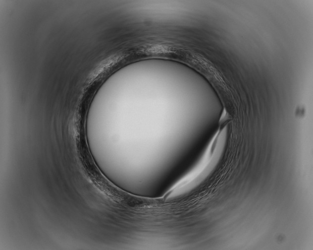 X0000099540732200806061454