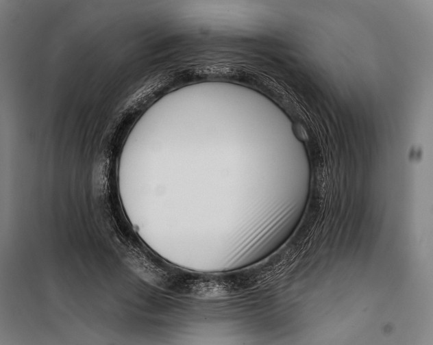 X0000099540735200806061454