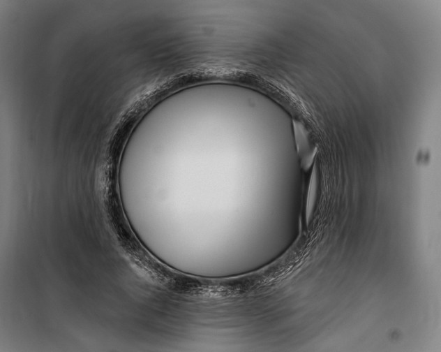 X0000099540736200806061454