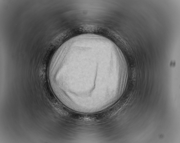 X0000099540737200806061454