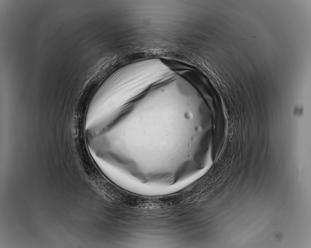 X0000099540738200806061454