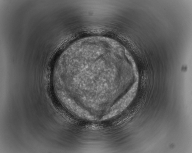 X0000099540739200806061454