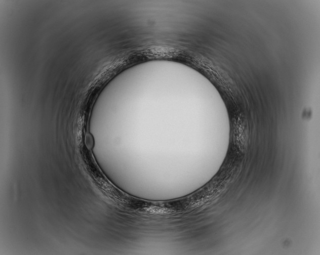 X0000099540742200806061454