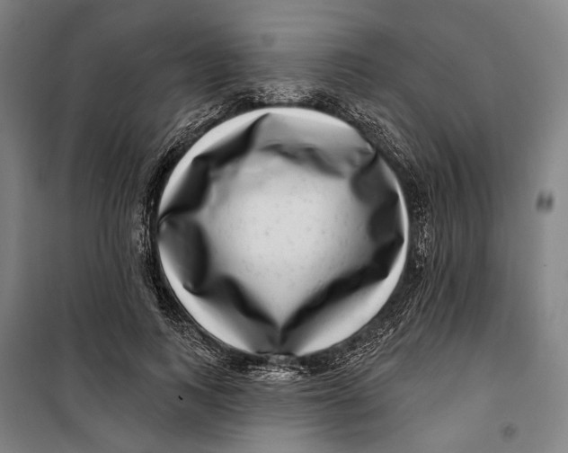 X0000099540743200806061454