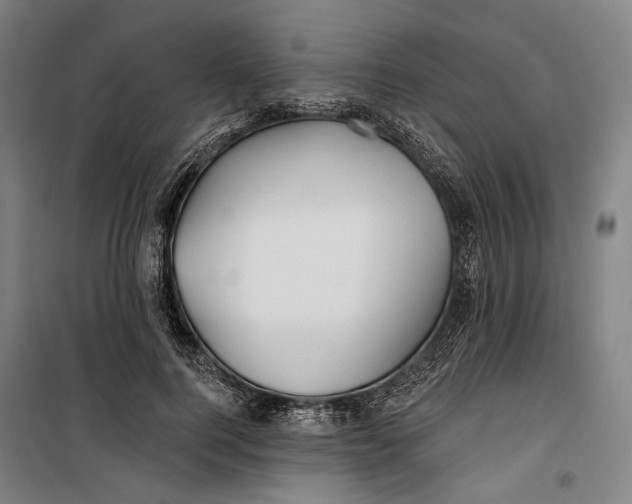 X0000099540744200806061454