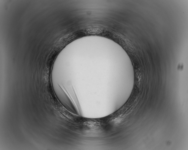 X0000099540745200806061454