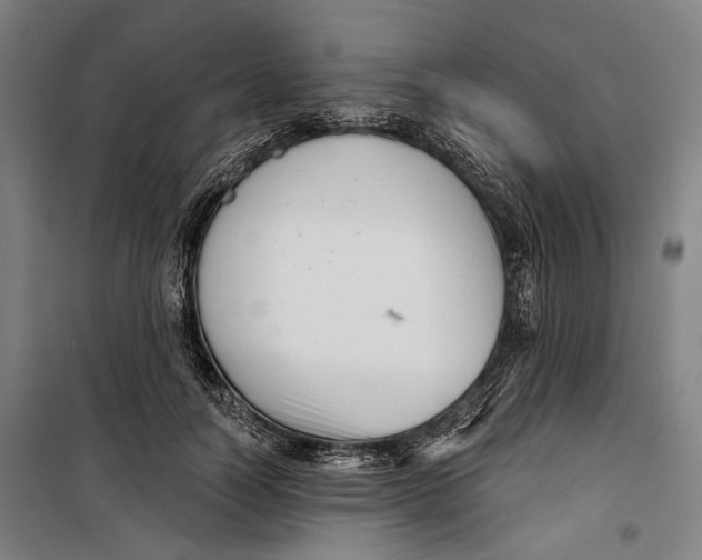 X0000099540746200806061454