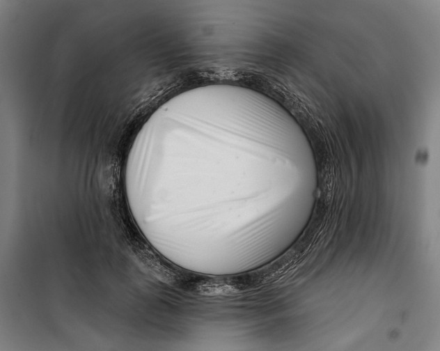 X0000099540747200806061454