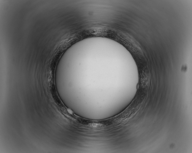 X0000099540748200806061454