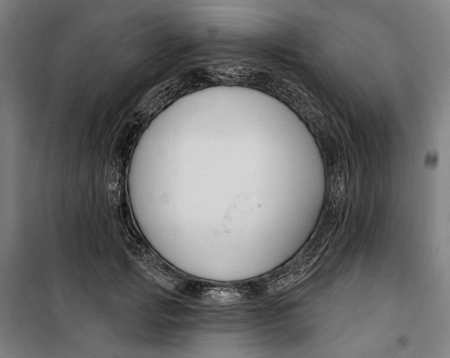 X0000099540749200806061454