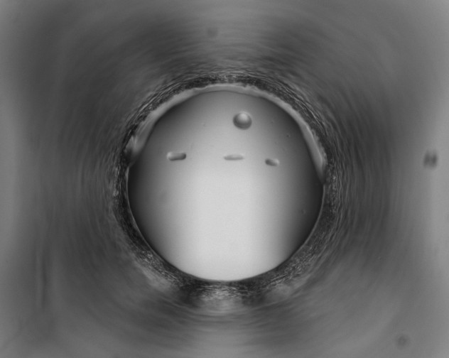 X0000099540750200806061454