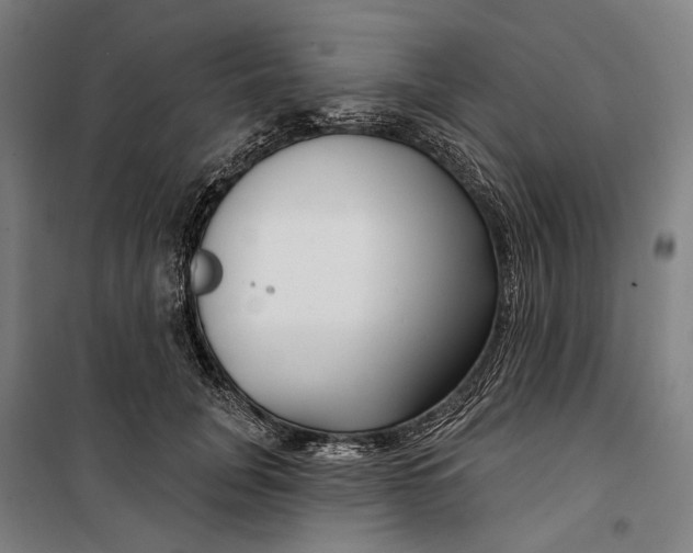 X0000099540751200806061454