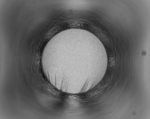 X0000099540753200806061454