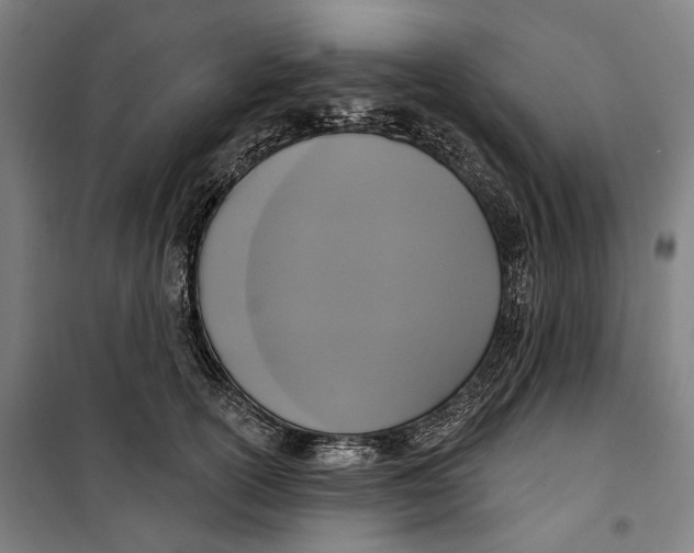 X0000099540754200806061454