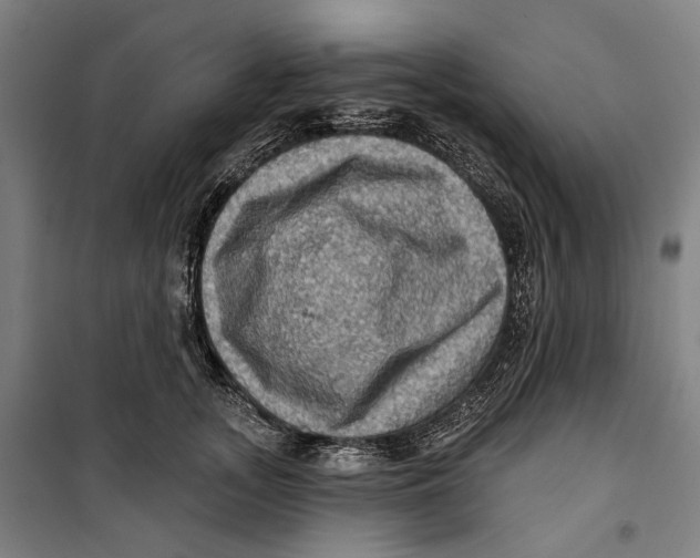 X0000099540755200806061454