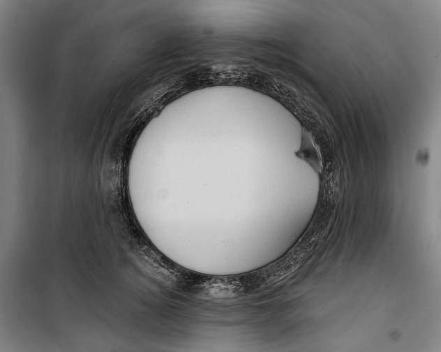 X0000099540756200806061454