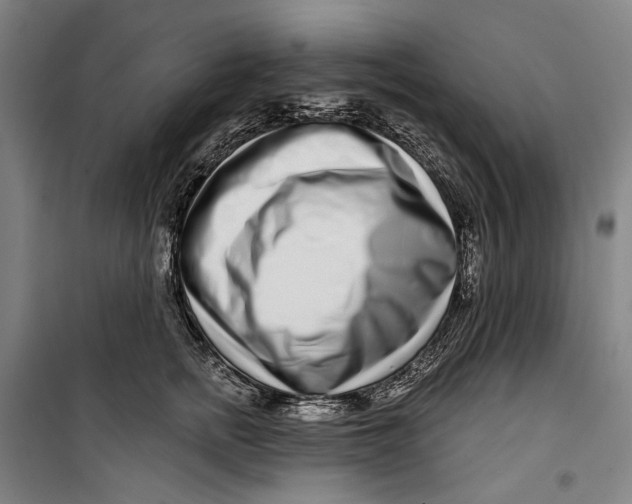 X0000099540758200806061454