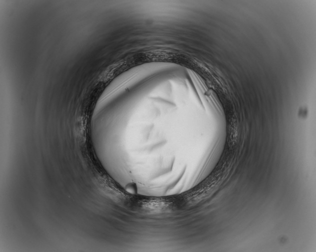 X0000099540759200806061454