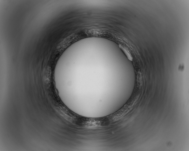 X0000099540760200806061454