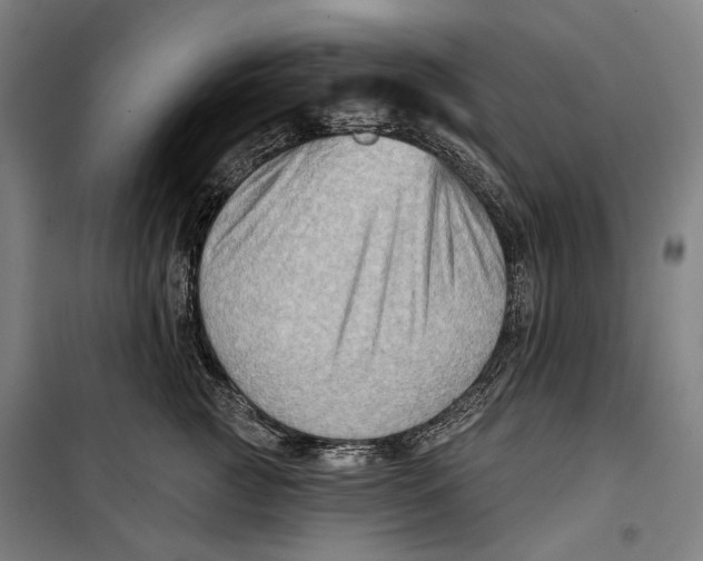 X0000099540761200806061454