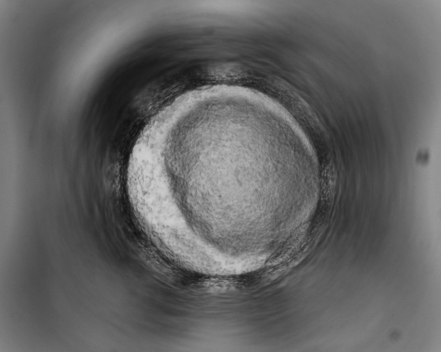 X0000099540762200806061454