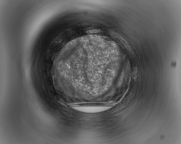 X0000099540763200806061454