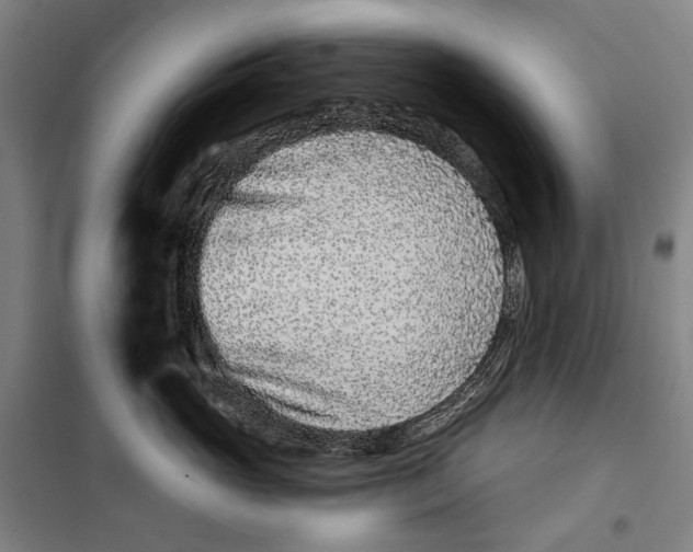 X0000099540765200806061454