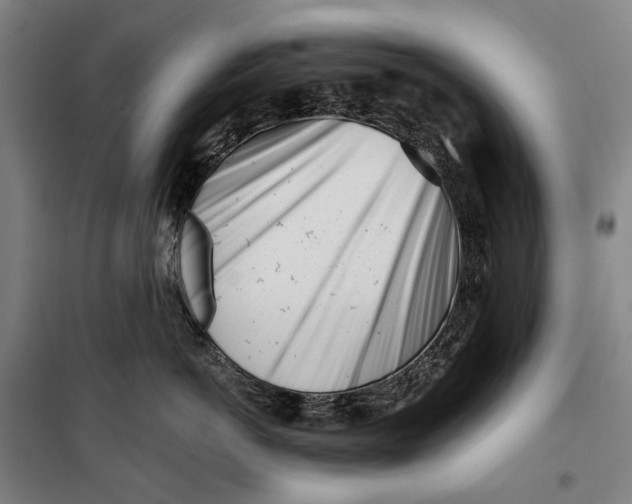 X0000099540766200806061454