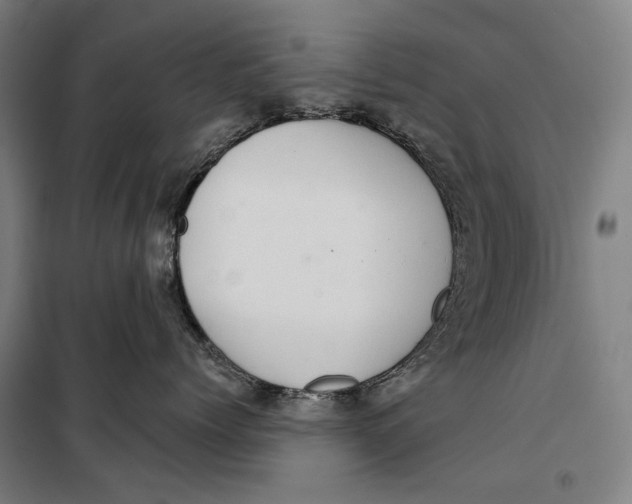 X0000099540768200806061454