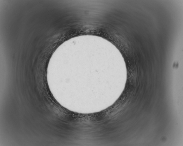 X0000099540769200806061453