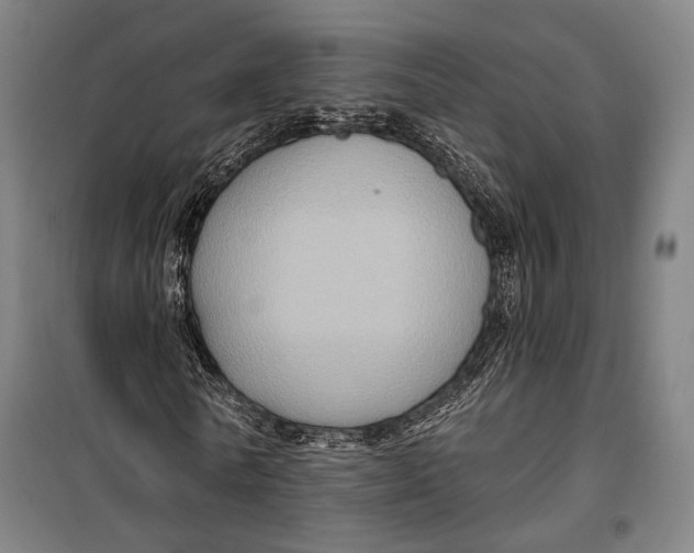 X0000099540770200806061453