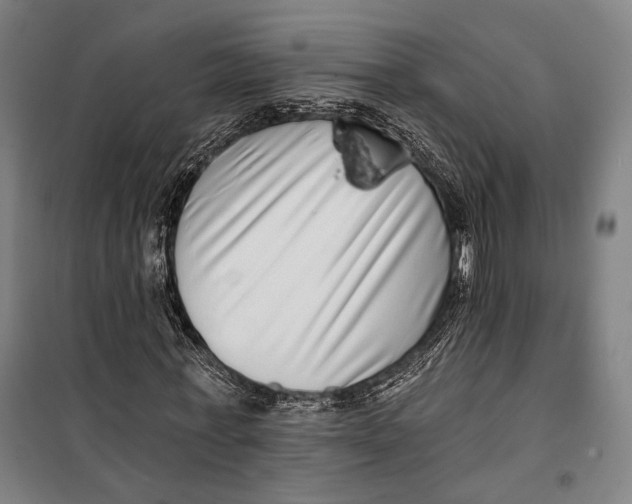 X0000099540771200806061453