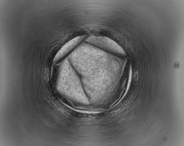 X0000099540772200806061453