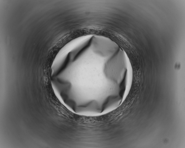 X0000099540774200806061453